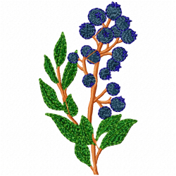 Berries Embroidery Design 2